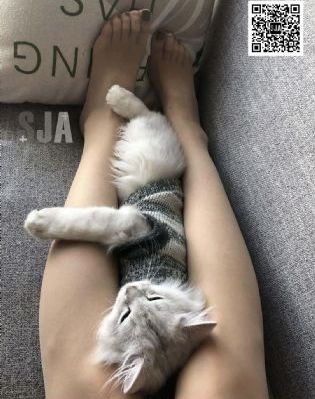 456黄色片_BD国语免费观看